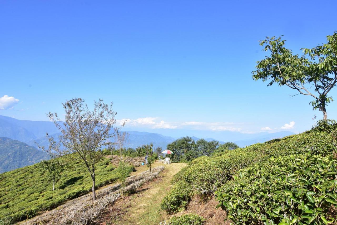 Singtom Tea Estate&Resort Darjeeling (West Bengal) Exterior foto